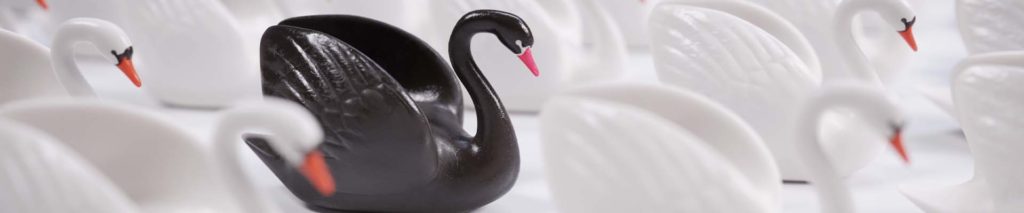 What is a black swan event?