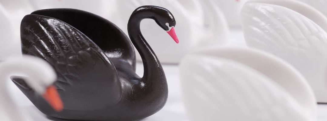 What is a black swan event?