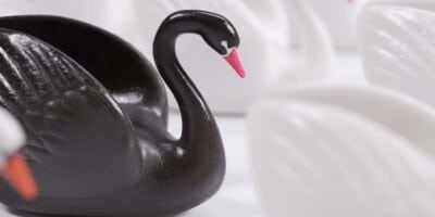 What is a black swan event?
