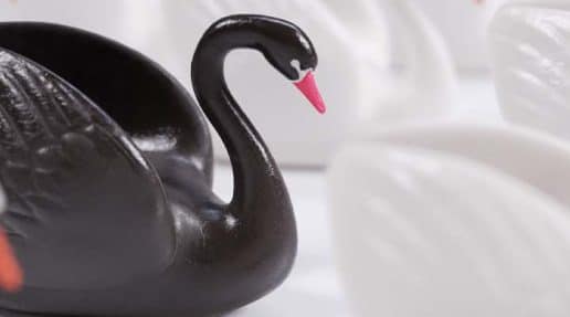 What is a black swan event?