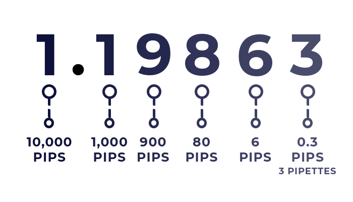 What are pips and pipettes