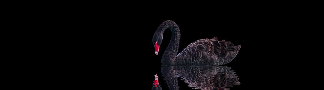 Black Swan events: How can treasurers mitigate risk?