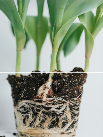 Introducing Privalgo’s new identity